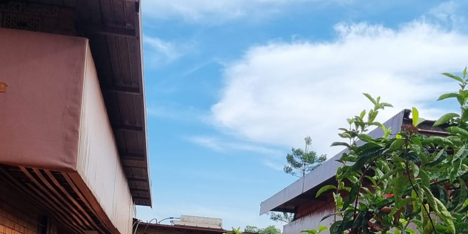 Guest House Grounds